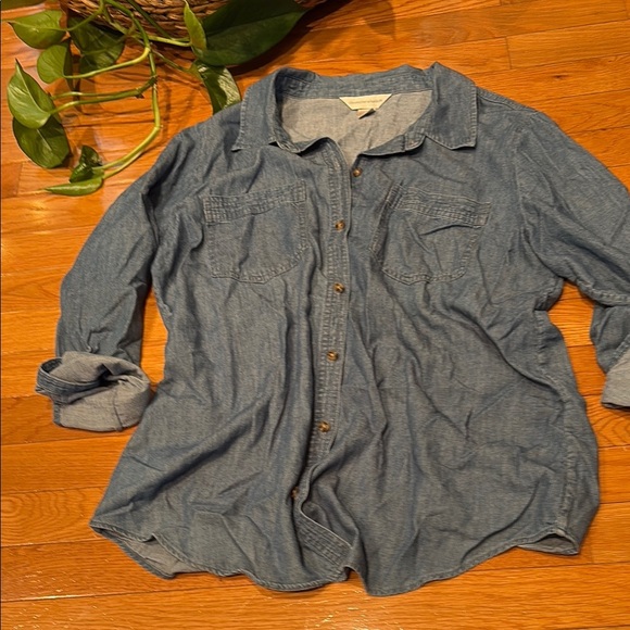 Christopher & Banks Blue Button Down Shirt - Picture 5 of 5